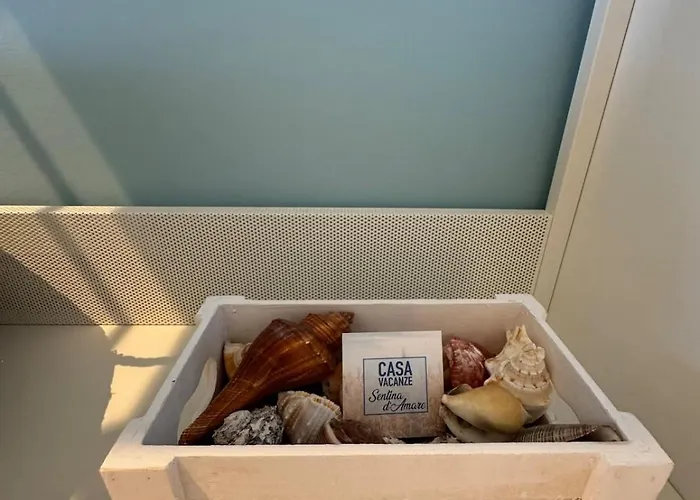 Sentina D'amare - By The San Benedetto del Tronto