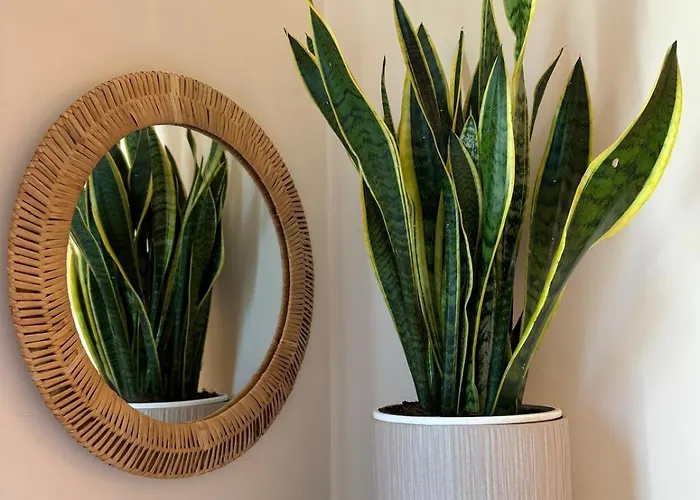 Apartment Sentina D'amare - By The San Benedetto del Tronto